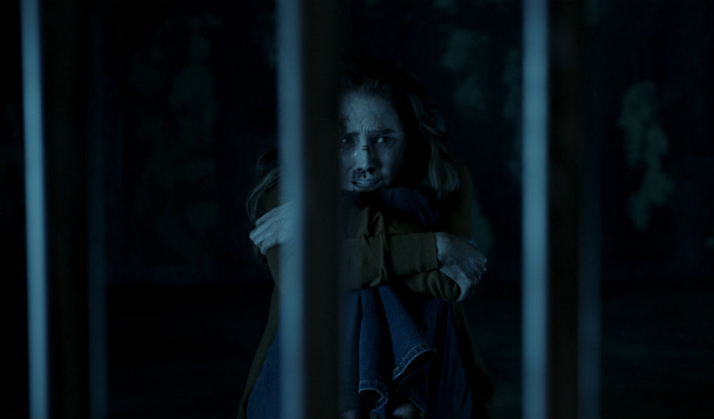 Illustration for article titled Insidious: The Last Key Takes the Franchise in Some Surprising (and Welcome) Directions